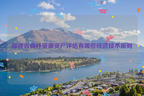 福建省森林資源資產評估有哪些經濟技術原則