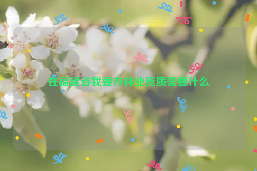 在福建省我要辦林業資質需要什么