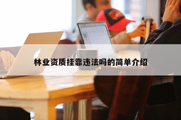 林業資質掛靠違法嗎的簡單介紹