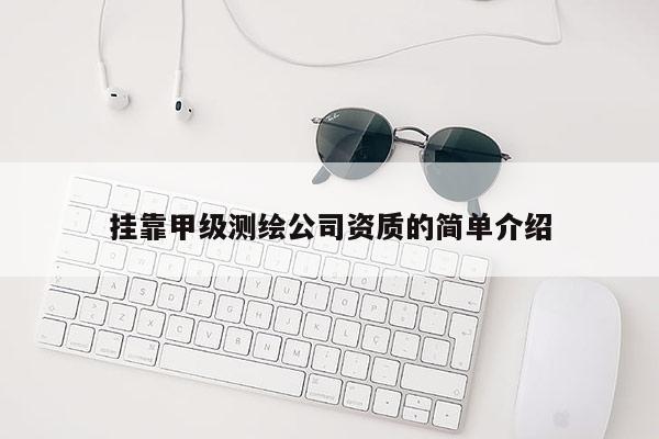 掛靠甲級測繪公司資質的簡單介紹