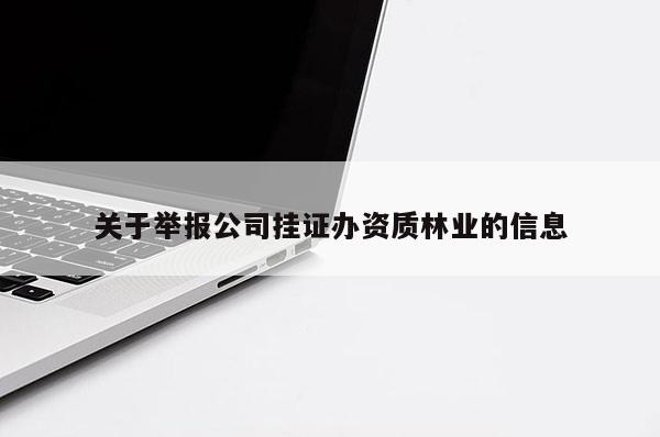 關于舉報公司掛證辦資質林業的信息