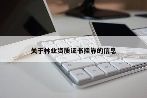 關于林業資質證書掛靠的信息