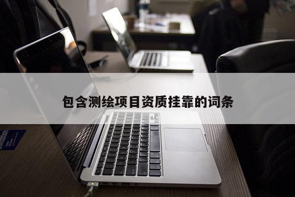 包含測繪項目資質掛靠的詞條